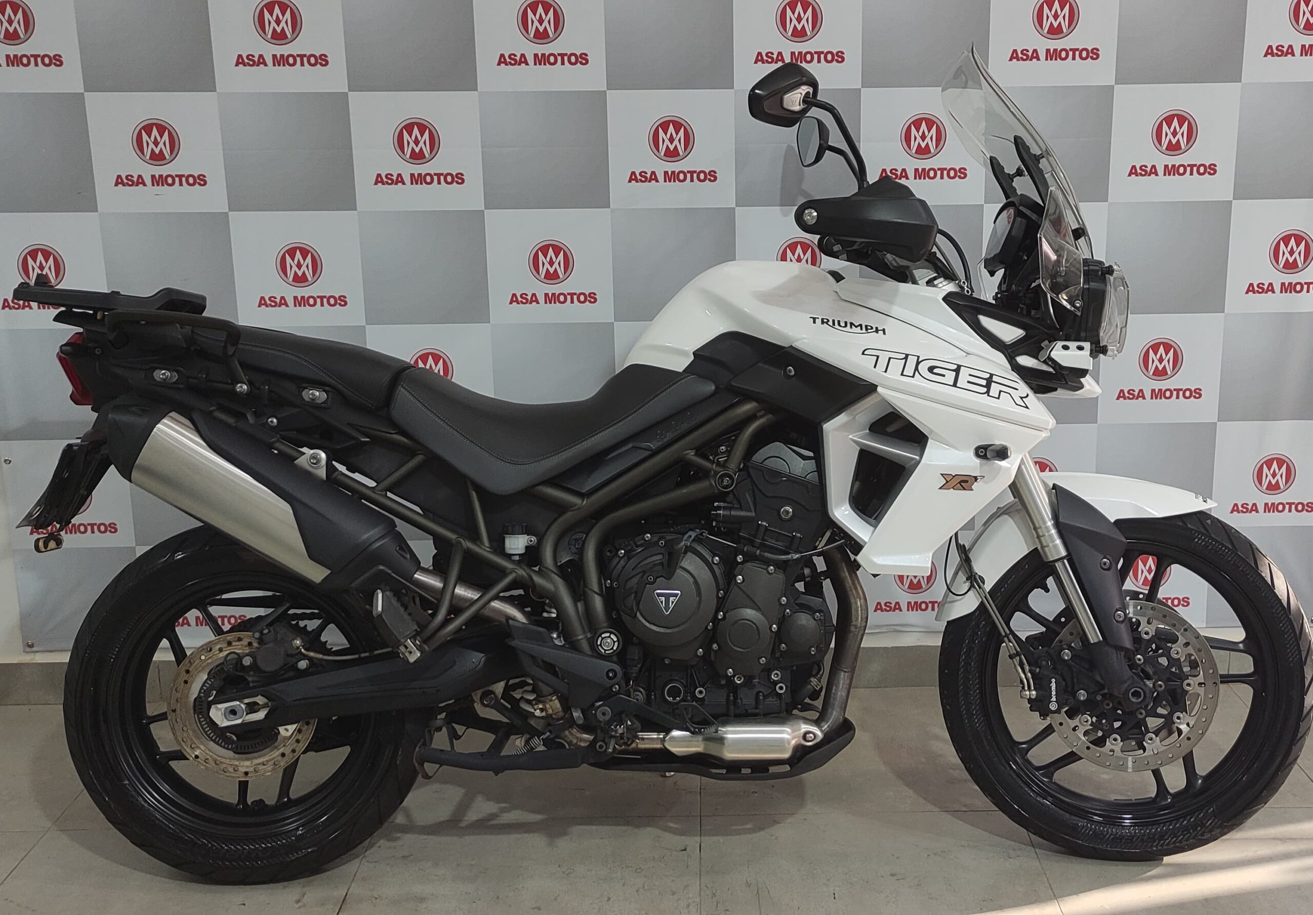 TRIUMPH TIGER 800 XRT 2019 BRANCA